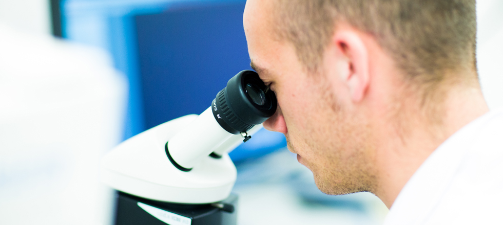 Person looks through microscope